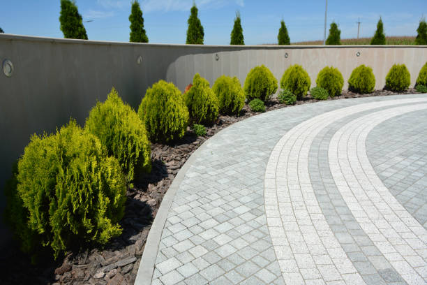 Best Affordable Driveway Pavers  in Rock Falls, IL